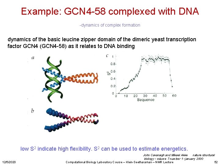 Example: GCN 4 -58 complexed with DNA -dynamics of complex formation dynamics of the
