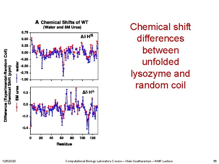 Chemical shift differences between unfolded lysozyme and random coil 12/5/2020 Computational Biology Laboratory Course