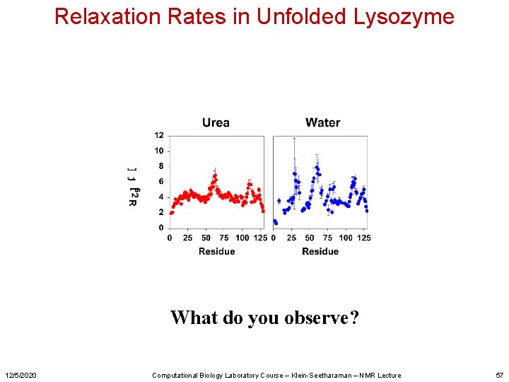 Relaxation Rates in Unfolded Lysozyme What do you observe? 12/5/2020 Computational Biology Laboratory Course