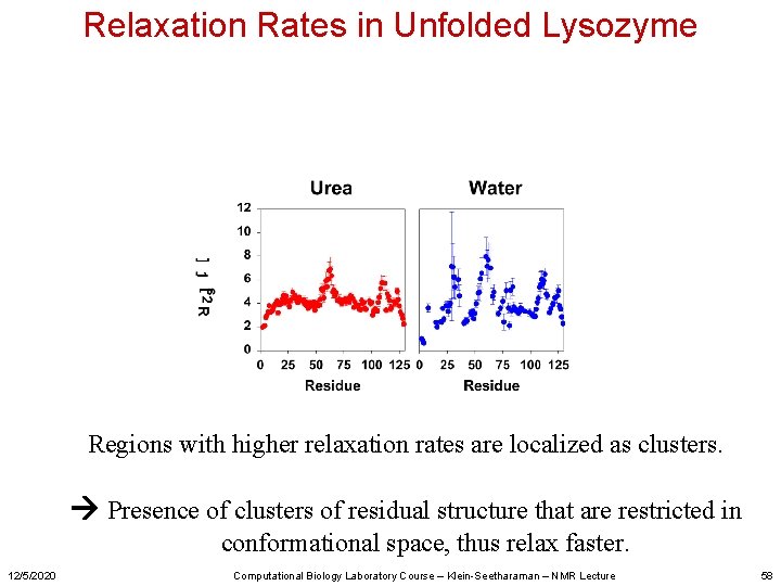 Relaxation Rates in Unfolded Lysozyme Regions with higher relaxation rates are localized as clusters.