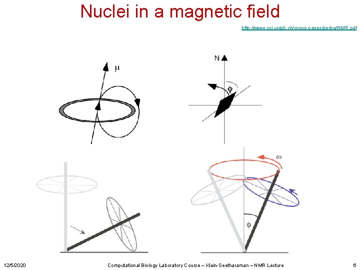 Nuclei in a magnetic field http: //www. oci. unizh. ch/group. pages/zerbe/NMR. pdf 12/5/2020 Computational