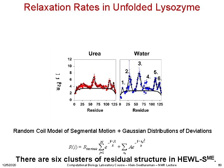 Relaxation Rates in Unfolded Lysozyme 3. 2. 4. 1. 5. 6. Random Coil Model