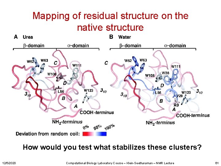 Mapping of residual structure on the native structure How would you test what stabilizes