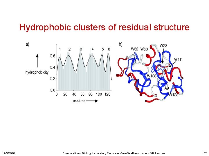 Hydrophobic clusters of residual structure 12/5/2020 Computational Biology Laboratory Course – Klein-Seetharaman – NMR