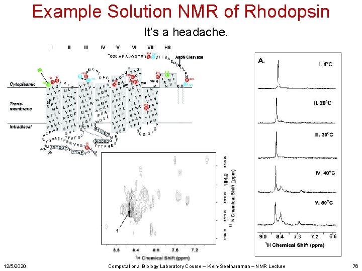 Example Solution NMR of Rhodopsin It’s a headache. 12/5/2020 Computational Biology Laboratory Course –