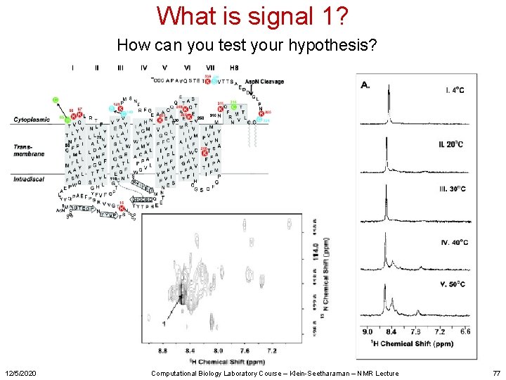 What is signal 1? How can you test your hypothesis? 12/5/2020 Computational Biology Laboratory