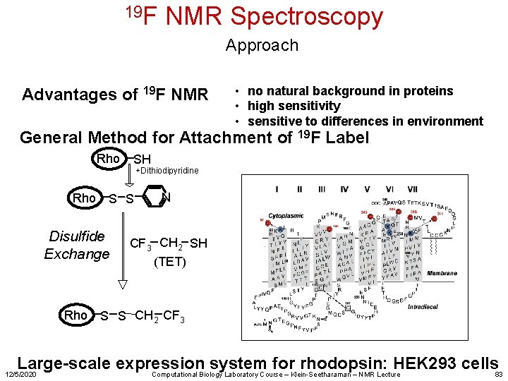 19 F NMR Spectroscopy Approach Advantages of 19 F NMR • no natural background
