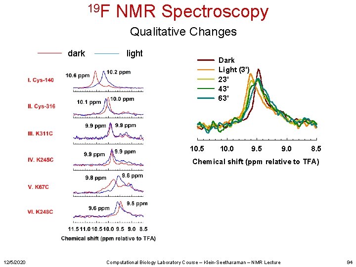 19 F NMR Spectroscopy Qualitative Changes dark light Dark Light (3') 23' 43' 63'