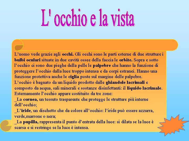 L’uomo vede grazie agli occhi. Gli occhi sono le parti esterne di due strutture