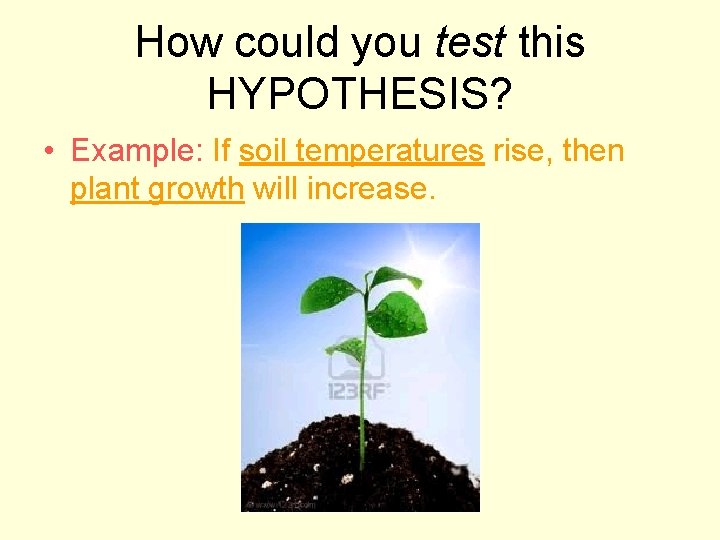 How could you test this HYPOTHESIS? • Example: If soil temperatures rise, then plant