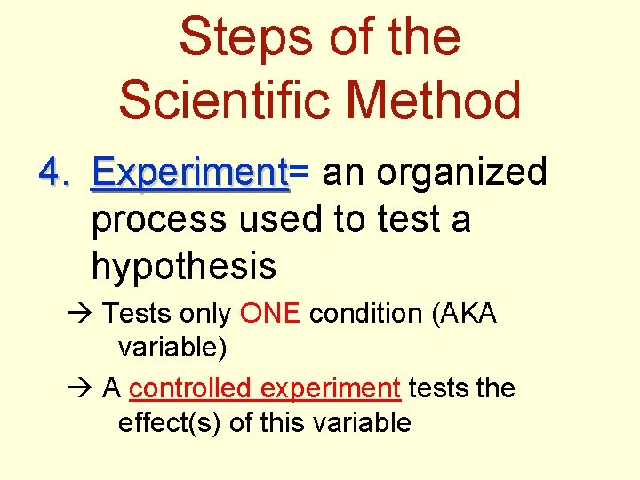 Steps of the Scientific Method 4. Experiment= Experiment an organized process used to test