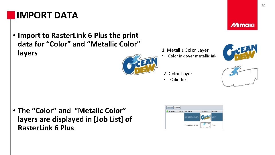 20 IMPORT DATA • Import to Raster. Link 6 Plus the print data for