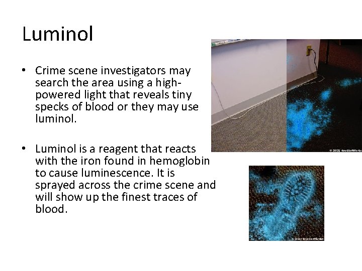 Luminol • Crime scene investigators may search the area using a highpowered light that