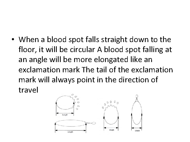  • When a blood spot falls straight down to the floor, it will