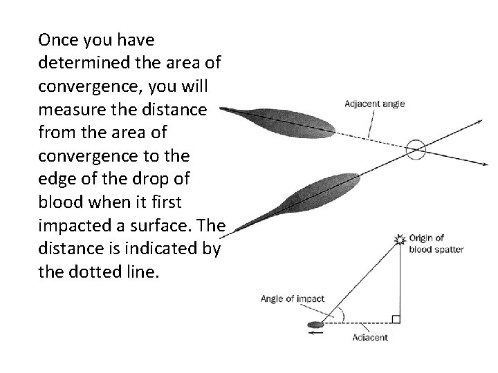 Once you have determined the area of convergence, you will measure the distance from
