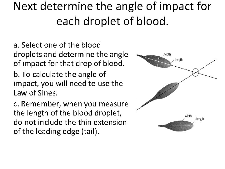 Next determine the angle of impact for each droplet of blood. a. Select one