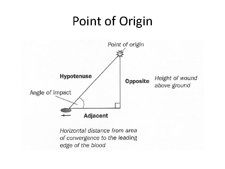 Point of Origin 