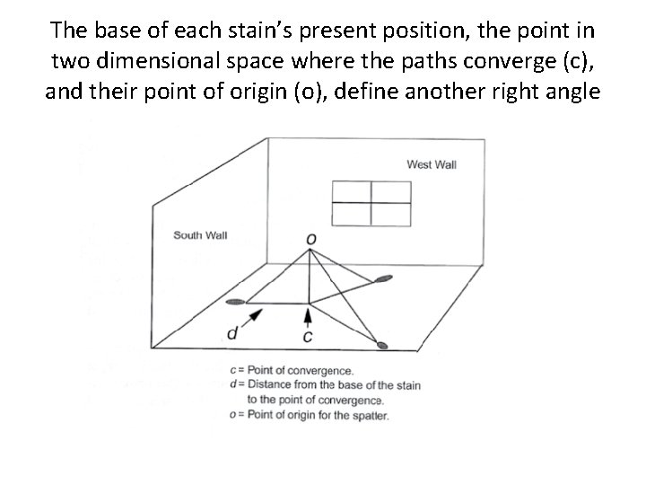 The base of each stain’s present position, the point in two dimensional space where