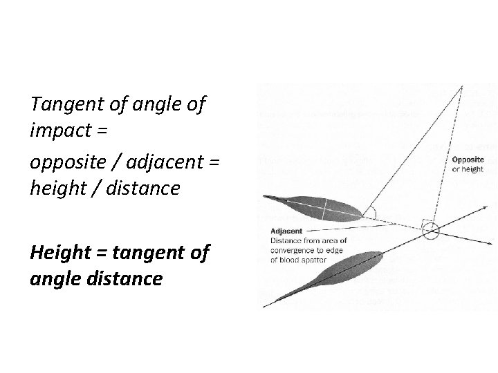 Tangent of angle of impact = opposite / adjacent = height / distance Height