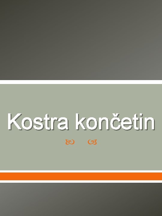 Kostra končetin 