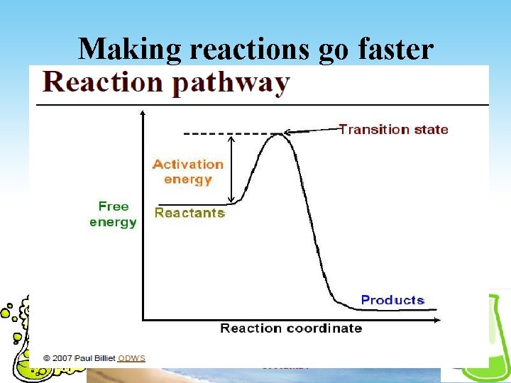 Making reactions go faster 2020/12/5 BIOKIMIA 