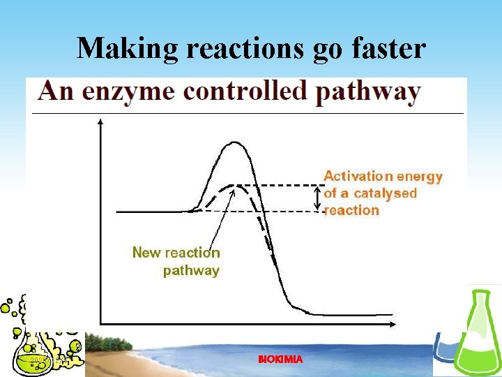 Making reactions go faster 2020/12/5 BIOKIMIA 