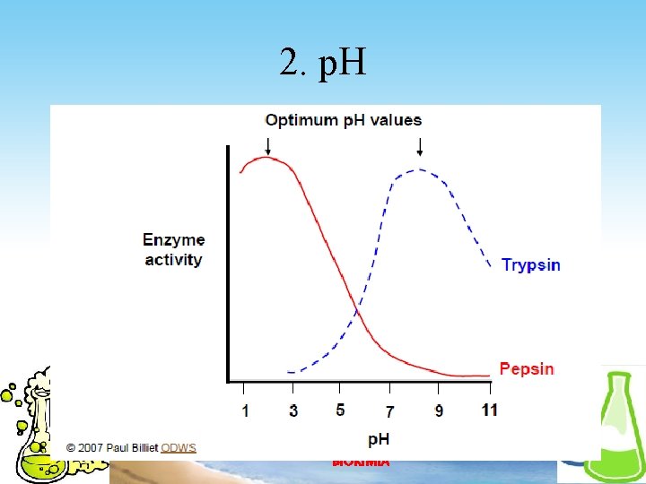 2. p. H 2020/12/5 BIOKIMIA 