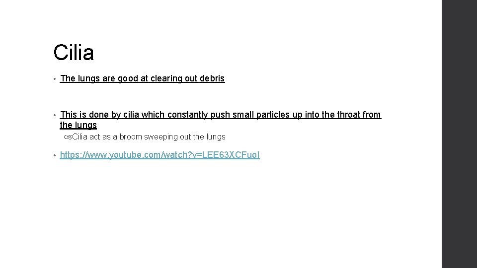 Cilia • The lungs are good at clearing out debris • This is done