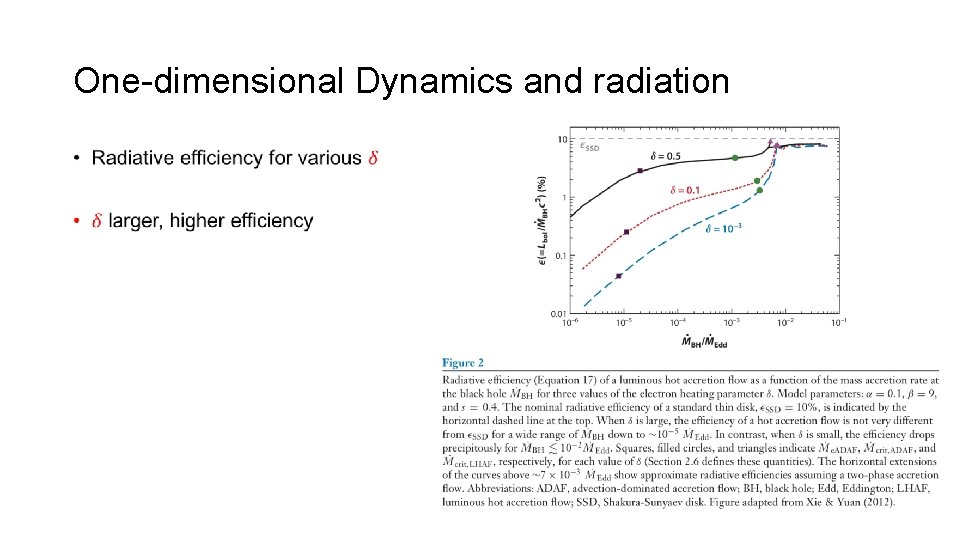 One-dimensional Dynamics and radiation • 