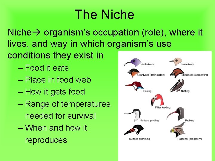 The Niche organism’s occupation (role), where it lives, and way in which organism’s use