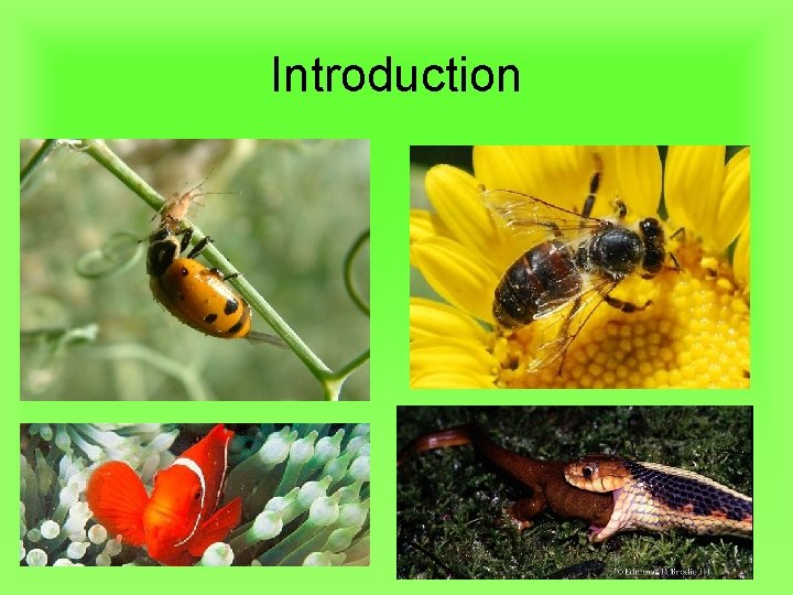 Introduction 