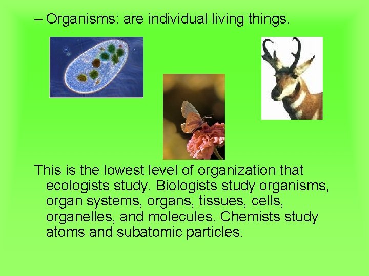 – Organisms: are individual living things. This is the lowest level of organization that