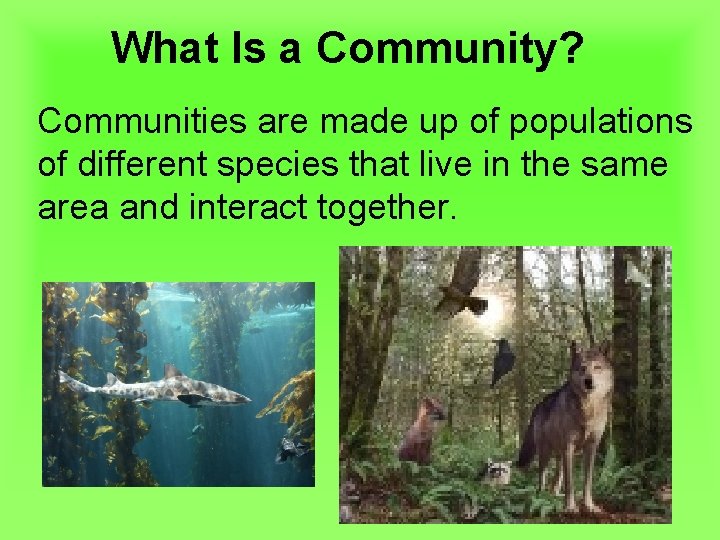 What Is a Community? Communities are made up of populations of different species that