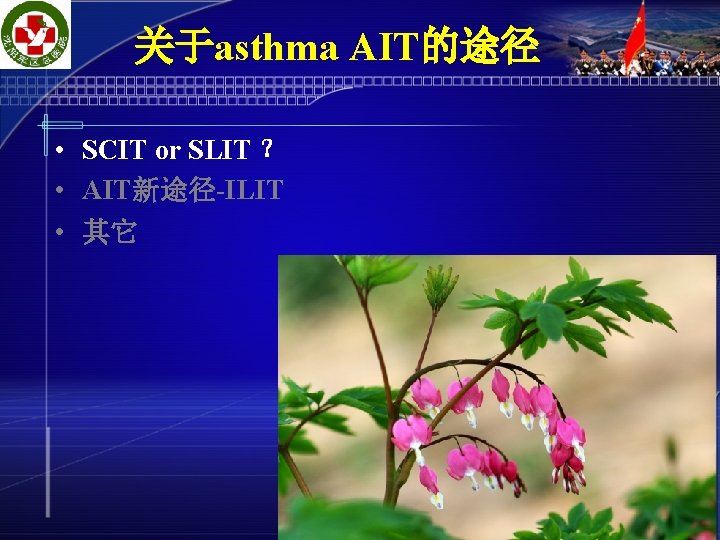 关于asthma AIT的途径 • SCIT or SLIT ？ • AIT新途径-ILIT • 其它 