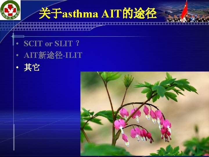 关于asthma AIT的途径 • SCIT or SLIT ？ • AIT新途径-ILIT • 其它 