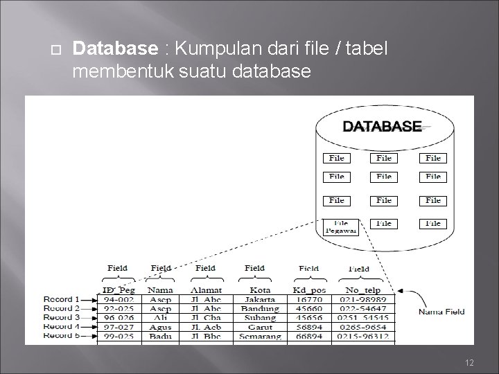  Database : Kumpulan dari file / tabel membentuk suatu database 12 