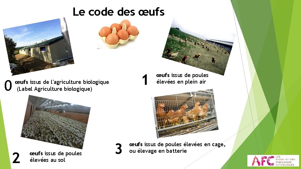 Le code des œufs 0 1 œufs issus de l'agriculture biologique (Label Agriculture biologique)