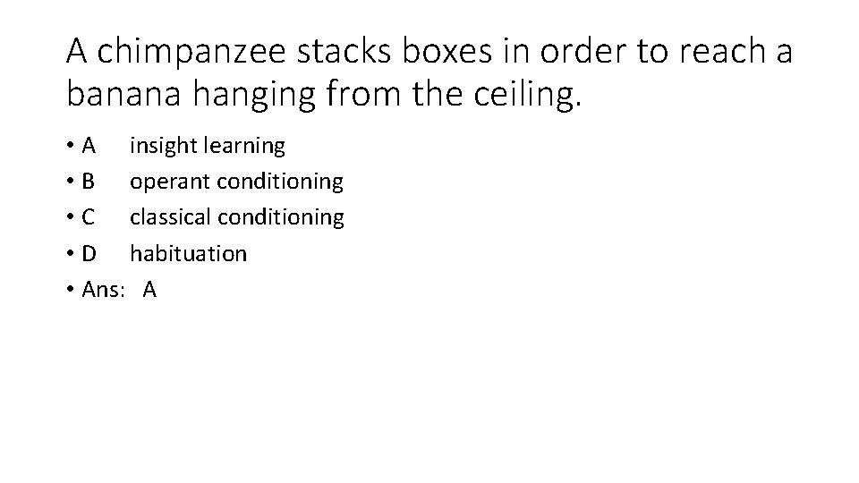 A chimpanzee stacks boxes in order to reach a banana hanging from the ceiling.