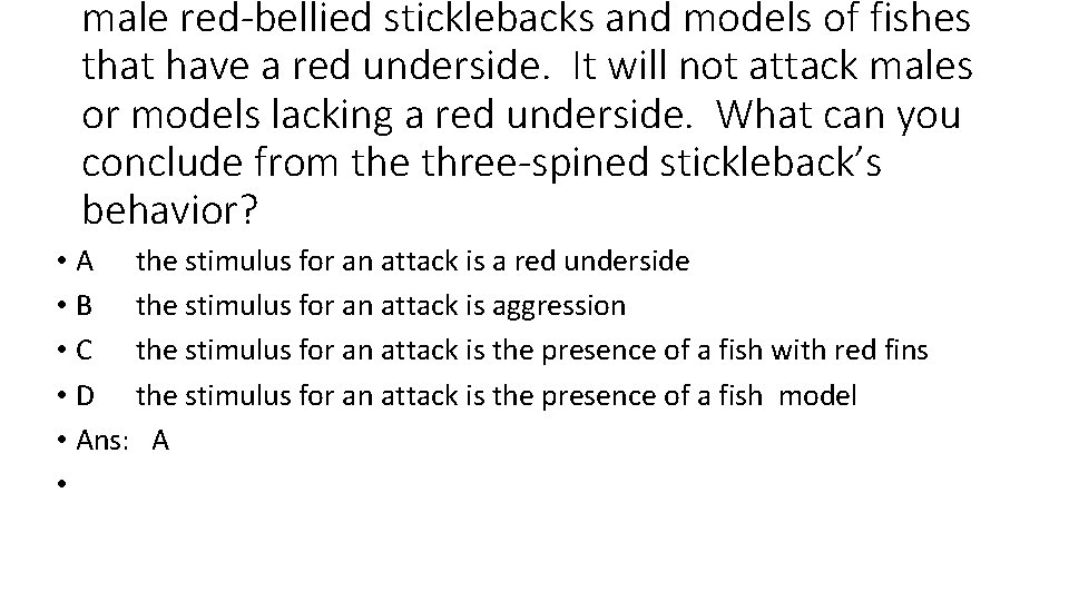 male red-bellied sticklebacks and models of fishes that have a red underside. It will