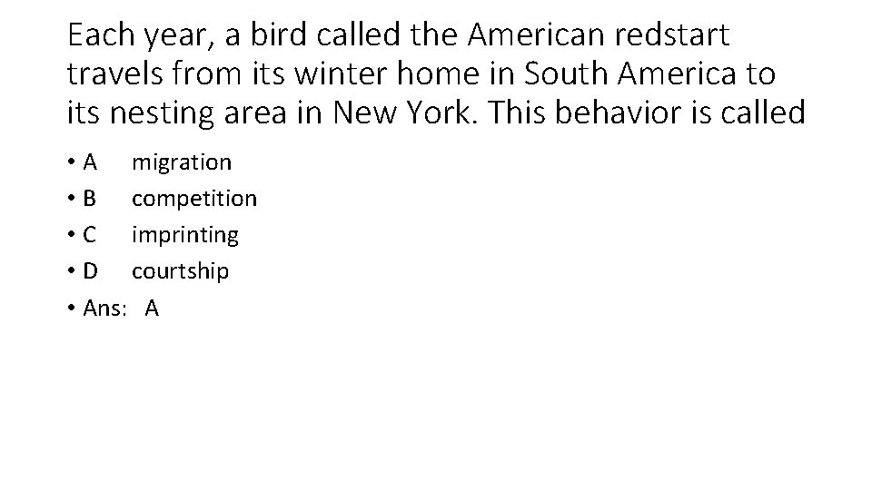 Each year, a bird called the American redstart travels from its winter home in