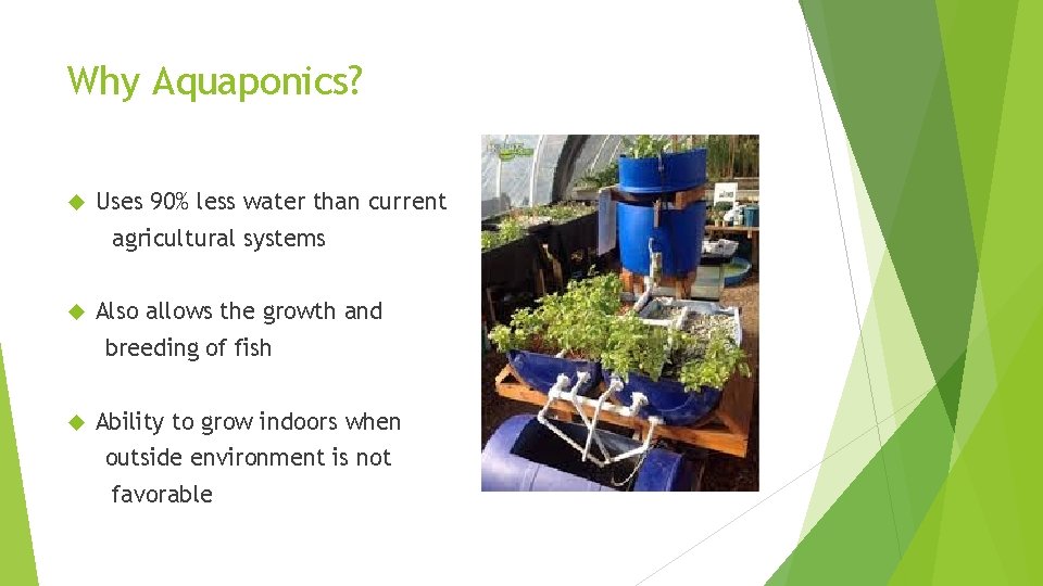 Why Aquaponics? Uses 90% less water than current agricultural systems Also allows the growth