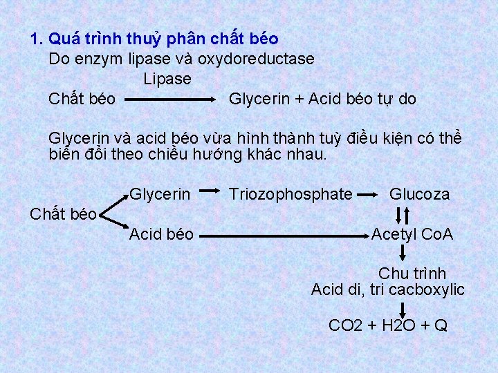 1. Quá trình thuỷ phân chất béo Do enzym lipase và oxydoreductase Lipase Chất