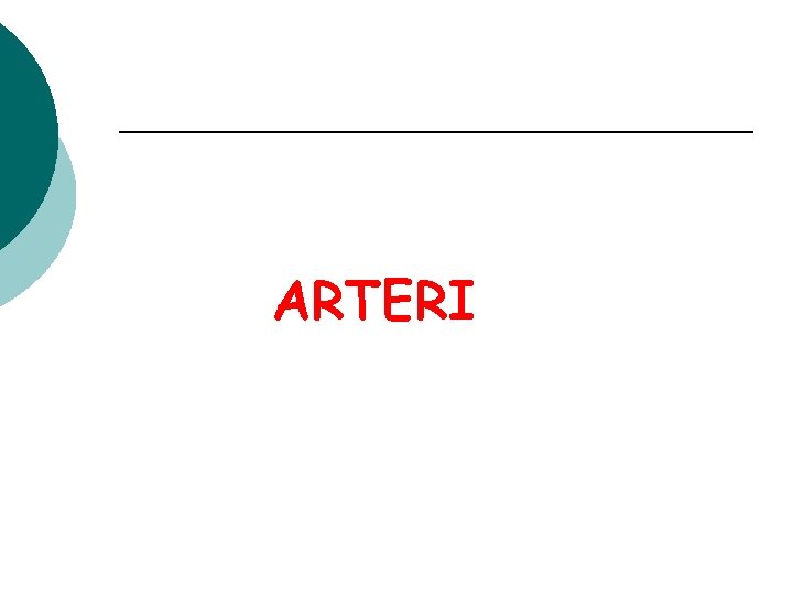 ARTERI 