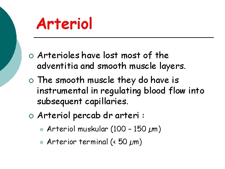 Arteriol ¡ ¡ ¡ Arterioles have lost most of the adventitia and smooth muscle