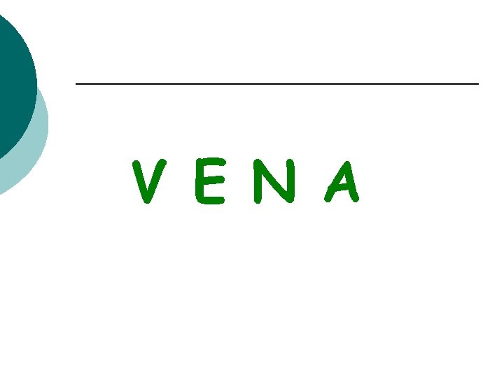 V E N A 