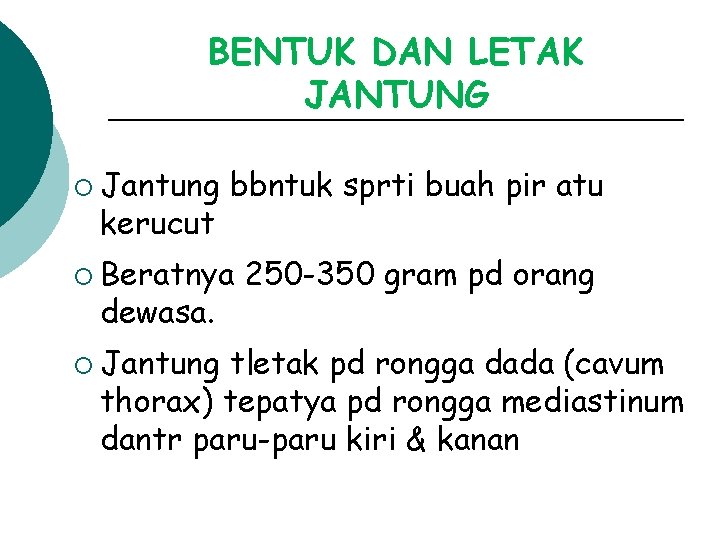 BENTUK DAN LETAK JANTUNG ¡ Jantung kerucut bbntuk sprti buah pir atu ¡ Beratnya