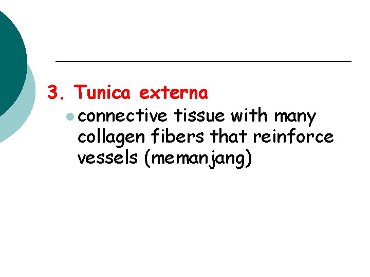 3. Tunica externa l connective tissue with many collagen fibers that reinforce vessels (memanjang)