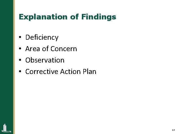 Explanation of Findings • • Deficiency Area of Concern Observation Corrective Action Plan 12