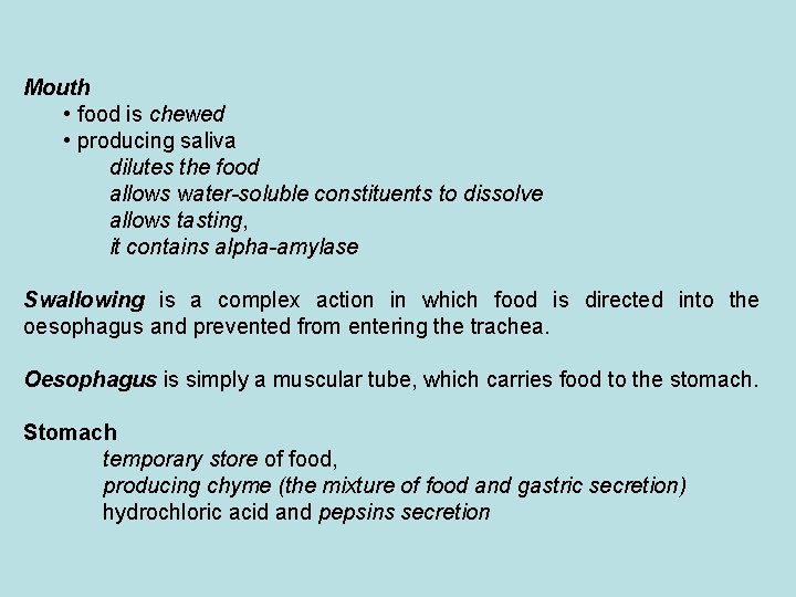 Mouth • food is chewed • producing saliva dilutes the food allows water-soluble constituents