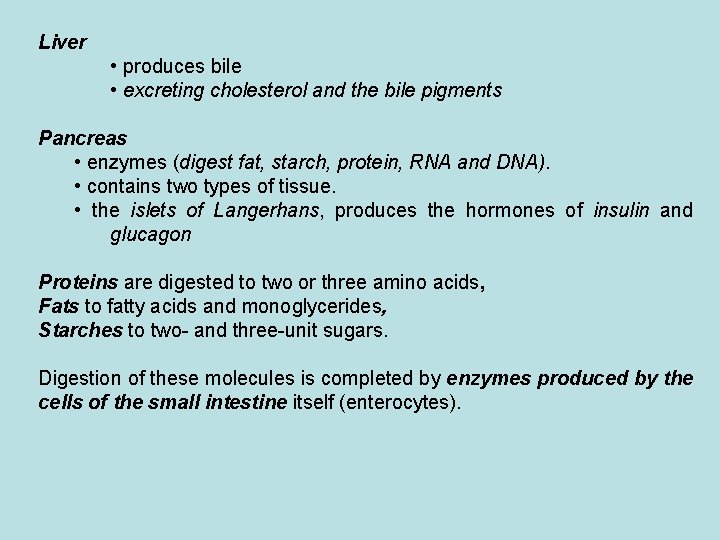 Liver • produces bile • excreting cholesterol and the bile pigments Pancreas • enzymes